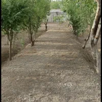 باغ700متری حصارمهتر چهاردیوار قدیمی برخیابان اصلی|فروش زمین و ملک کلنگی|رباط‌کریم, حصار مهتر|دیوار