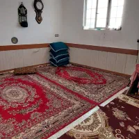 اجاره آپارتمان ۹۰ متری ۲ خوابه طبقه ۲ در قلعه نو|اجارهٔ آپارتمان|شیراز, قلعه نو|دیوار