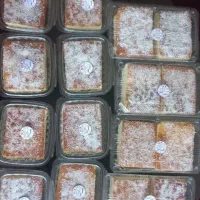 کیک مدرسه.آماده همکاری با بوفه مدرسه وآبمیوه فروشی|خوردنی و آشامیدنی|قم, جمکران|دیوار