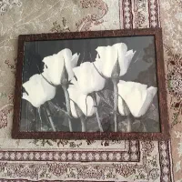 قاب عکس