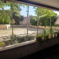 توانیر دوستان ۱۰۰ متر