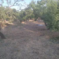 فروش زمین ۵۳۵ م محدود پل زمانخان|فروش زمین و ملک کلنگی|مبارکه, |دیوار