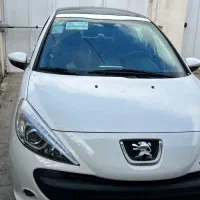 ۲۰۷ خشک پانا دنده صفر