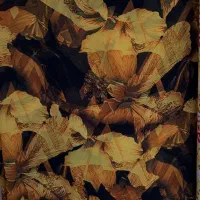 پارچه های حریر|لباس|مهاباد (آذربایجان غربی), |دیوار