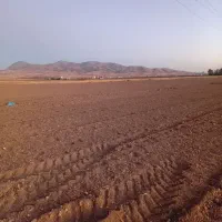 اجاره زمین کشاورزی|اجارهٔ دفتر صنعتی، کشاورزی، تجاری|چهاردولی, |دیوار