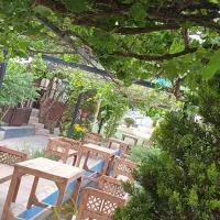 شریک کاری یا سرمایه گذار باغچه رستوران