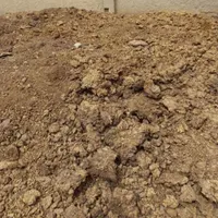 ی بار ده تن کود حیوانی مبخام