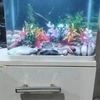 آکواریم شرکتی فول تجهیزات