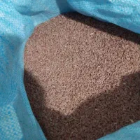 بذر گندم خارجی|گل و گیاه طبیعی|اسدآباد, |دیوار