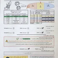 بال پاراگلایدر up آلمان مشابه نو