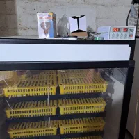 دستگاه جوجه کشی،لامپ مادرمصنوعی|لوازم جانبی حیوانات|لنگرود, |دیوار