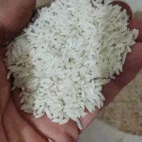 برنج محلی درجه یک دورود