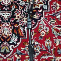 مونوپدیامونوپاد