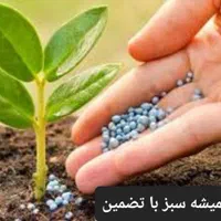 فروش انواع بذر و کود و سم برای کشاورزان|خدمات باغبانی و درختکاری|تهران, باغ فیض|دیوار