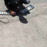 گمشده پلاک
