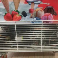 فریزر ایستاده 70cm SBM|فروشگاه و مغازه|نجف‌آباد, جلال آباد|دیوار