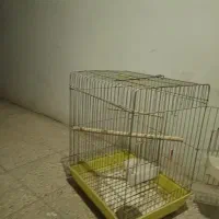 قفس پرنده|لوازم جانبی حیوانات|تهران, پیکان شهر|دیوار