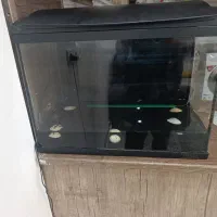 اکواریم هایلا  مدل f60|ماهی|بومهن, |دیوار