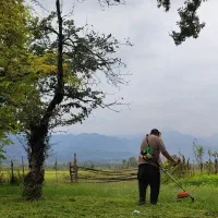 کلیه خدمات علف تراشی و باغبانی غرب گیلان