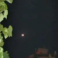 مشارکت در ساخت