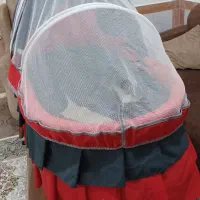 گهواره|اسباب و اثاث بچه|خرم‌آباد, |دیوار