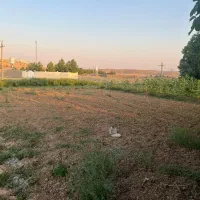 معاوضه یا فروش زمین ویلایی صدرا|فروش خانه و ویلا|شیراز, علوم پزشکی|دیوار