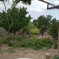 خانه گلزار بردسیر 14 قصب سوییت 80 متری|فروش خانه و ویلا|گلزار, |دیوار