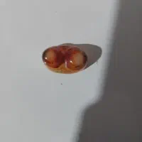 سنگ باباقوری دو چشم|بدلیجات|زاهدان, |دیوار