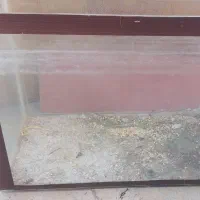 آکواریوم شیشه ای