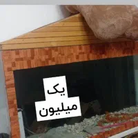 گل-آکواریوم-قفس|گل و گیاه طبیعی|چناران, |دیوار