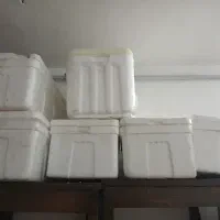 یخدان یونولیت  یخچال مسافرتی|کوهنوردی و کمپینگ|زنجان, |دیوار