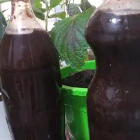 رب‌انار‌ترش‌
