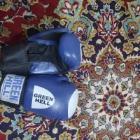 دست کش بوکس|لباس|مشهد, مصلی (کارمندان اول)|دیوار