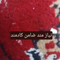 نیازمند ضامن کارمند هستم