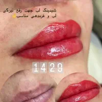 میکروبلیدینگ تخصصی با جدید ترین متد روز|خدمات آرایشگری و زیبایی|فردیس, فردیس|دیوار