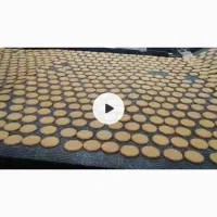 ماشین آلات خط کامل بیسکوییت اتوماتیک|ماشینآلات صنعتی|صفادشت, |دیوار