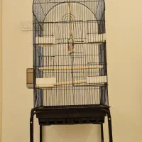 قفس بزرگ نو