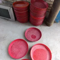 بشقاب جوجه یک روزه تعداد 150عدد