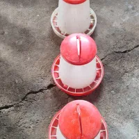 دانخوری و آبخوری|لوازم جانبی حیوانات|پارسآباد, |دیوار