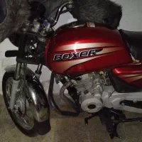 باکسر مدل ۹۱ تمیز