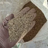 تفالهچغندرتر قندی|حیوانات مزرعه|سیرجان, |دیوار