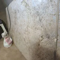 باسکول حیوان کش