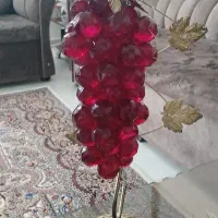 انگور دکوری سالم