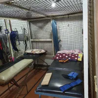 وسایل اداری مطب فیزیوتراپی|دفتر کار|شهرکرد, |دیوار