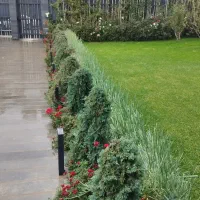 گلکاری و طراحی و اجرای فضای سبز گیلان و مازندران