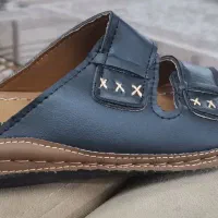 دمپایی مردانه تایلندی|کیف، کفش، کمربند|قم, چهل درخت‎|دیوار