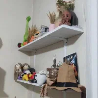قفسه آتلیه ای|کتابخانه، شلف، قفسه‌های دیواری|تهران, آبشار تهران (دریاچه)|دیوار