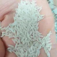 فروش برنج|خوردنی و آشامیدنی|ساری, |دیوار