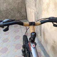 دوچرخه 26 ویوا