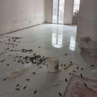 گچکاری لکه گیری گچ کار تخریب خرده کاری کاشیکاری گچ|خدمات پیشه و مهارت|تهران, جنتآباد مرکزی|دیوار